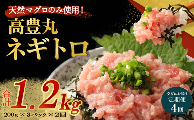 【交互定期便 / ４ヶ月連続】 土佐流藁焼きかつおのたたき２節と高豊丸ネギトロ６００ｇ  魚介類 海産物 カツオ 鰹 わら焼き 高知 海鮮 冷凍 家庭用 訳あり 不揃い  連続 藁焼き かつおのたたき かつお タタキ まぐろ 鮪 マグロ ネギトロ ねぎとろ