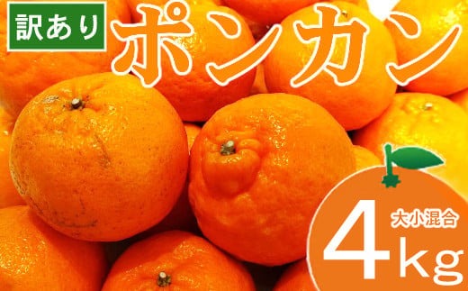 【訳あり】人気の柑橘室戸産ポンカン 4ｋｇ 大小混合　＜みかん好きにおすすめ！冬が旬のぽんかん＿果物＿フルーツ＞