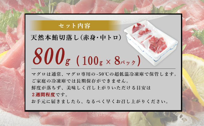 ★まぐろの王様！ 天然本マグロ ( 中トロ ・ 赤身 ) 切落とし 800g (100g×8パック) マグロ 刺身  魚 惣菜 海鮮丼 魚介類 食べきりサイズ 小分け 冷凍 訳あり 不揃い 20000円 送料無料