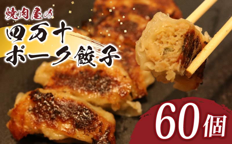 餃子 ヤマジュウの特選！四万十ポーク手作り餃子６０個