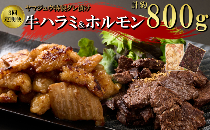 ヤマジュウの特選タレ漬け！牛ハラミ肉＆国産牛ホルモン計８００ｇ【３回定期便】 頒布会