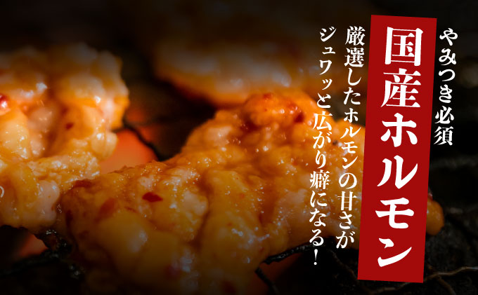 ヤマジュウの特選タレ漬け！和牛ハラミ肉５００g＆国産牛ホルモン３００ｇ