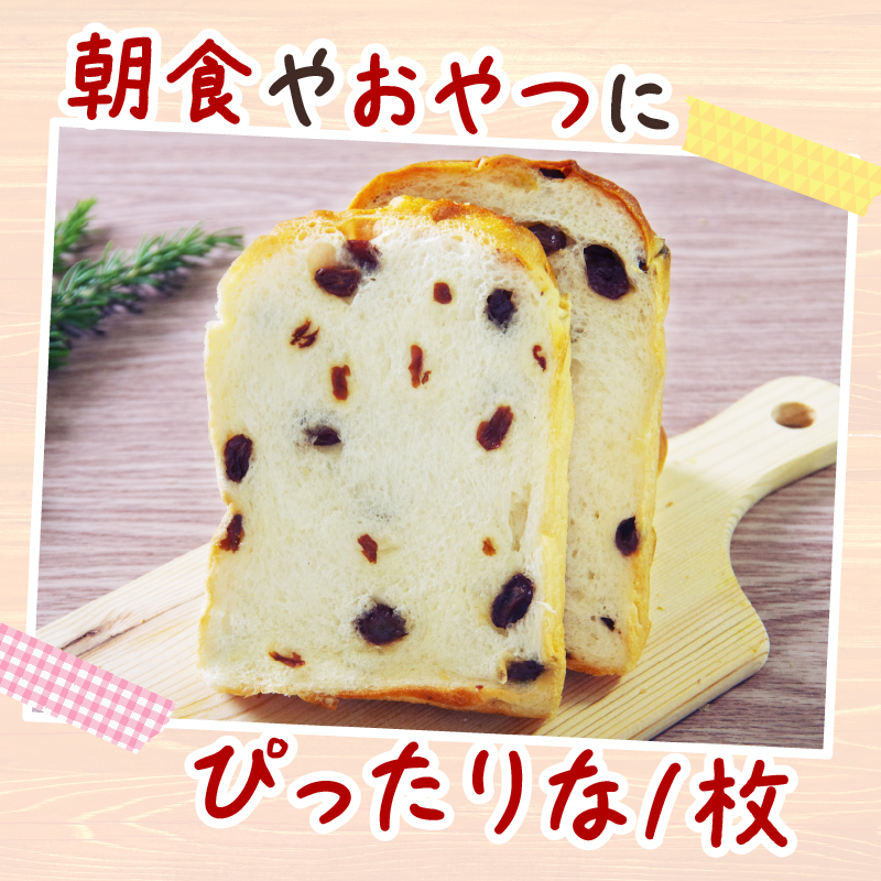 【室戸海洋深層水仕込み】レーズン食パン年６回定期便  食パン ぱん 朝食 ギフト 定期便 人気 食事パン おやつ レーズン ぶどう ドライフルーツ４斤×６回