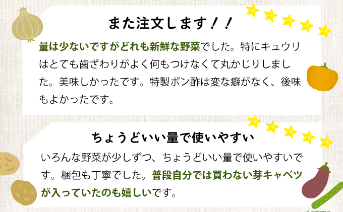 【ふるさと納税】【コロナ緊急支援品】野菜 7種類 詰め合わせセット(特製ポン酢付) 新鮮 旬 春 おまかせ 5000円 故郷納税 送料無料