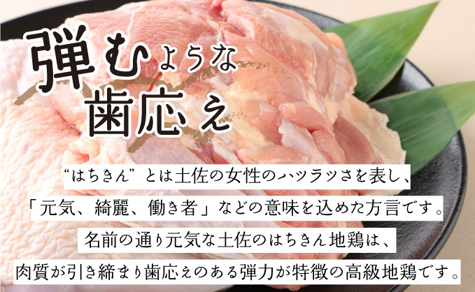 土佐はちきん地鶏の鶏しゃぶ＆鶏鍋堪能セット＜しゃぶしゃぶ＆お鍋をお手軽に＞