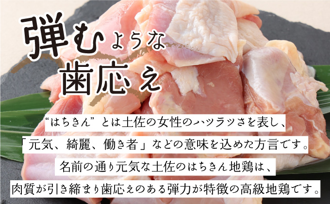 【ふるさと納税】【２〜３人前】はちきん地鶏のモモ肉　500ｇカット 国産 鶏肉 バーベキュー 鍋 惣菜 唐揚げ 6000円 冷凍 送料無料