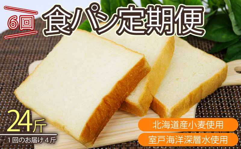 [室戸海洋深層水仕込み]深層水食パン年6回定期便 食パン 朝食 ギフト 定期便 人気 ぱん おやつ 4斤×6回