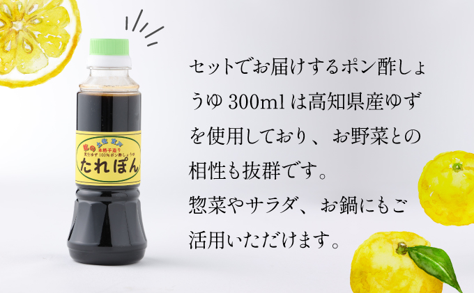 【ふるさと納税】【コロナ緊急支援品】野菜 7種類 詰め合わせセット(特製ポン酢付) 新鮮 旬 春 おまかせ 5000円 故郷納税 送料無料