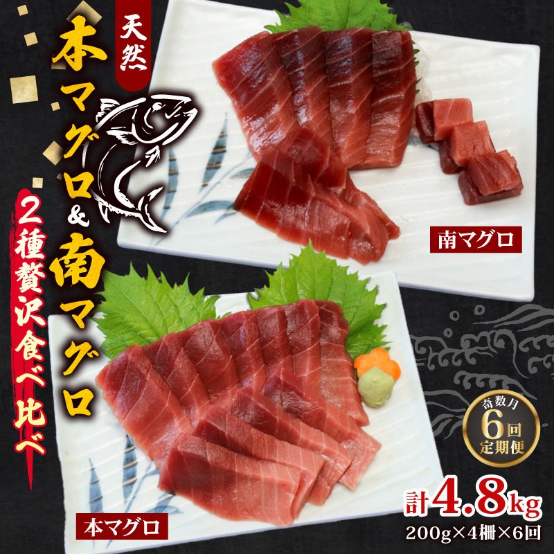【６回定期便】本マグロ 南マグロ 中トロ 各２柵 奇数月 まぐろ 鮪 鮮魚 刺身 寿司 高級 食べ比べ