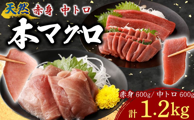 天然本まぐろ 赤身 中トロ 切落し お手軽 ちょこっとパック 合計1.2kg 食べきりサイズ 切り落とし お刺身 魚介類 海鮮 小分け 魚 海産物 魚貝 マグロ 父の日 高知県 簡単解凍 簡単調理 惣菜 冷凍