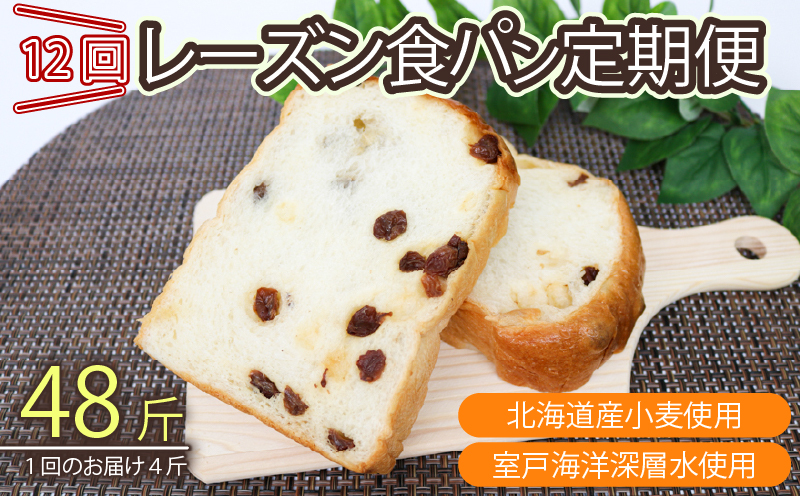 【室戸海洋深層水仕込み】レーズン食パン年１２回定期便  食パン ぱん 朝食 ギフト 定期便 人気 食事パン おやつ レーズン ぶどう ドライフルーツ４斤×１２回