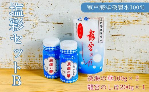 塩彩セットB 計400g 小分け 調味料 塩 塩分 熱中症対策 海洋深層水使用 天日塩 国産 結晶 うまみ バーベキュー BBQ キャンプ グランピング おにぎり 天ぷら フライドポテト