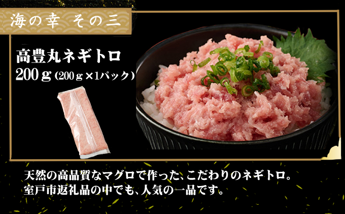 室戸の海の幸バラエティセット 5種詰め合わせ 33,000円コース まぐろ マグロ カツオ かつおたたき 伊勢海老 伊勢えび  ネギトロ 福袋 セット 正月 高知 室戸