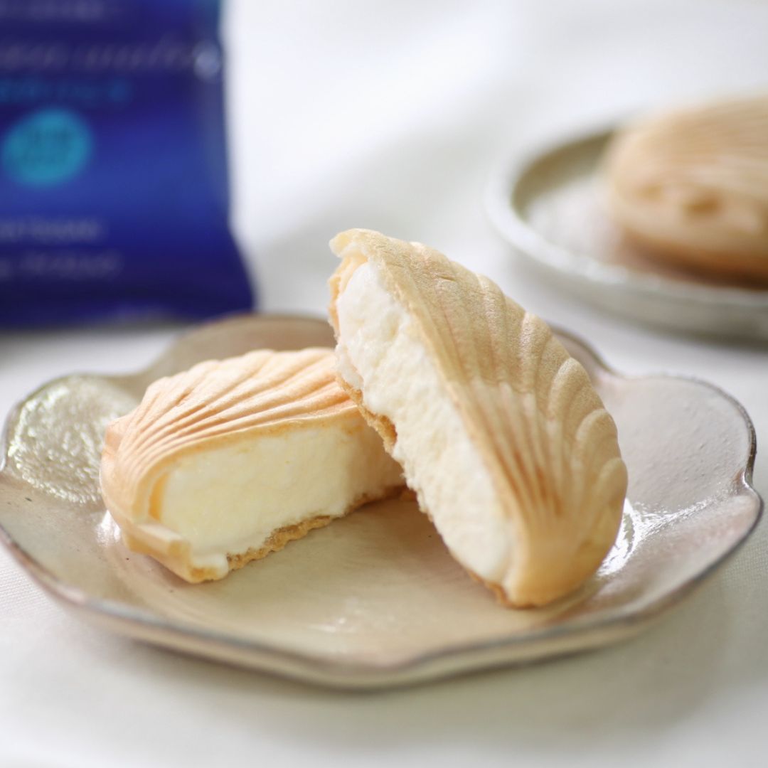 塩バニラアイス 9個 最中 カップ 室戸海洋深層水使用 高知 アイス アイスクリーム ご当地アイス ご当地スイーツ 塩 スイーツ もなか 最中 カップアイス 詰合せ 詰め合わせ ギフト ふるさと納税