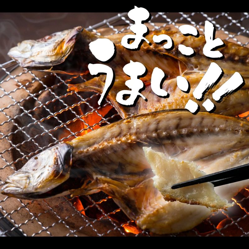 【ふるさと納税】高知県 室戸市 トロ鯵 干物セット 8枚 特大 脂のり抜群 海洋深層水仕込み アジ開き 海鮮 魚介類 国産 新鮮 産地直送 贅沢ギフト 1万円 iz021