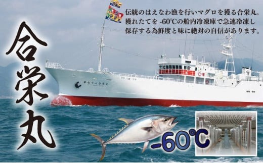 船元が直送! 厳選 天然 本マグロ 中トロ・赤身 食べ比べセット 約600g | 中トロ 約200g 赤身 約400g | 本鮪 本まぐろ クロマグロ 魚 惣菜 まぐろ ワケアリ わけあり 訳あり 中とろ あかみ 刺身 さしみ 刺し身 冷凍 漬け 海鮮 丼 父の日 高知県 室戸市