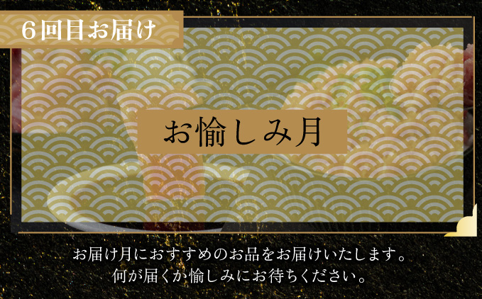 ＼贅沢定期便 ≪ 力 ≫／ 全6回【厳選 高知の海鮮セット】本まぐろ かつおのたたき ネギトロ 水産会社直送の海鮮詰め合わせ 食べ比べ