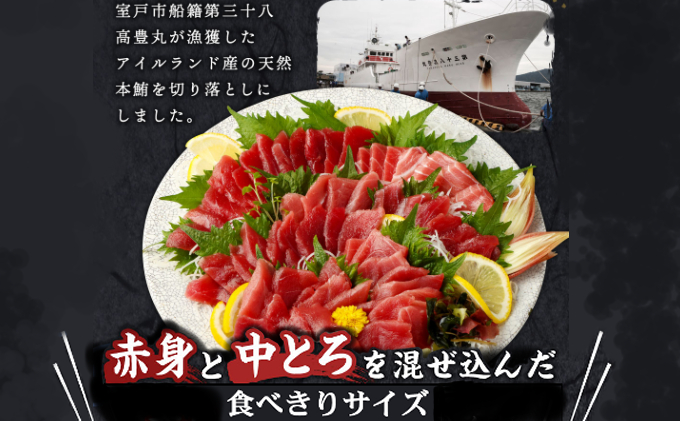 ★まぐろの王様！ 天然本マグロ ( 中トロ ・ 赤身 ) 切落とし 800g (100g×8パック) マグロ 刺身  魚 惣菜 海鮮丼 魚介類 食べきりサイズ 小分け 冷凍 訳あり 不揃い 20000円 送料無料