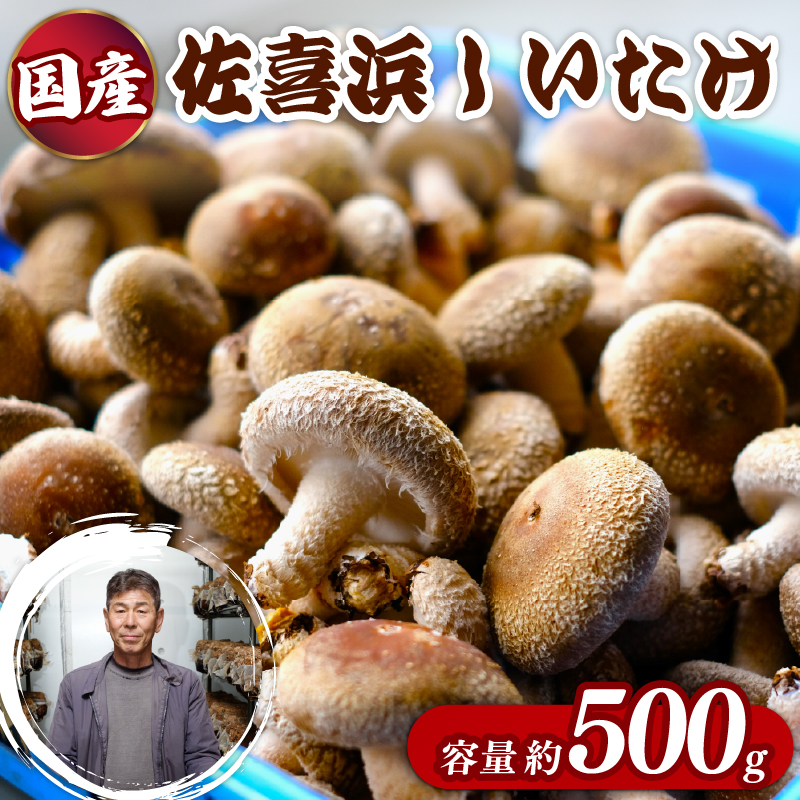 国産 佐喜浜しいたけ 約500g 椎茸 しいたけ 菌床 きのこ キノコ 調理 料理 ごはん ご飯 うまみ 6000円 高知県