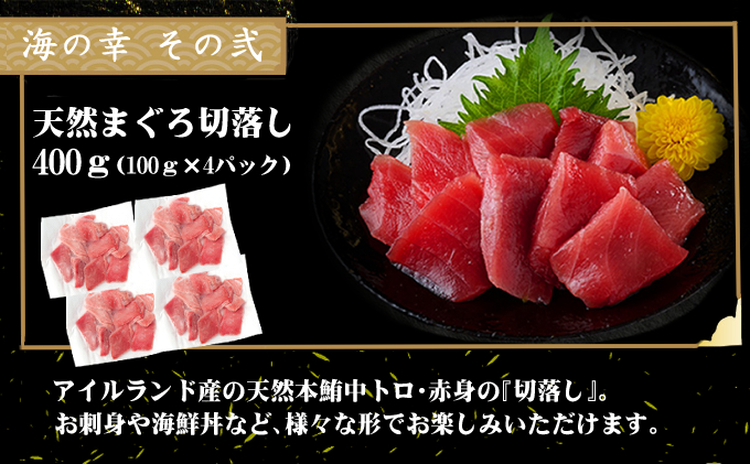 室戸の海の幸バラエティセット 5種詰め合わせ 100,000円コース まぐろ マグロ カツオ かつおたたき 伊勢海老 伊勢えび  ネギトロ 福袋 セット 正月 高知 室戸