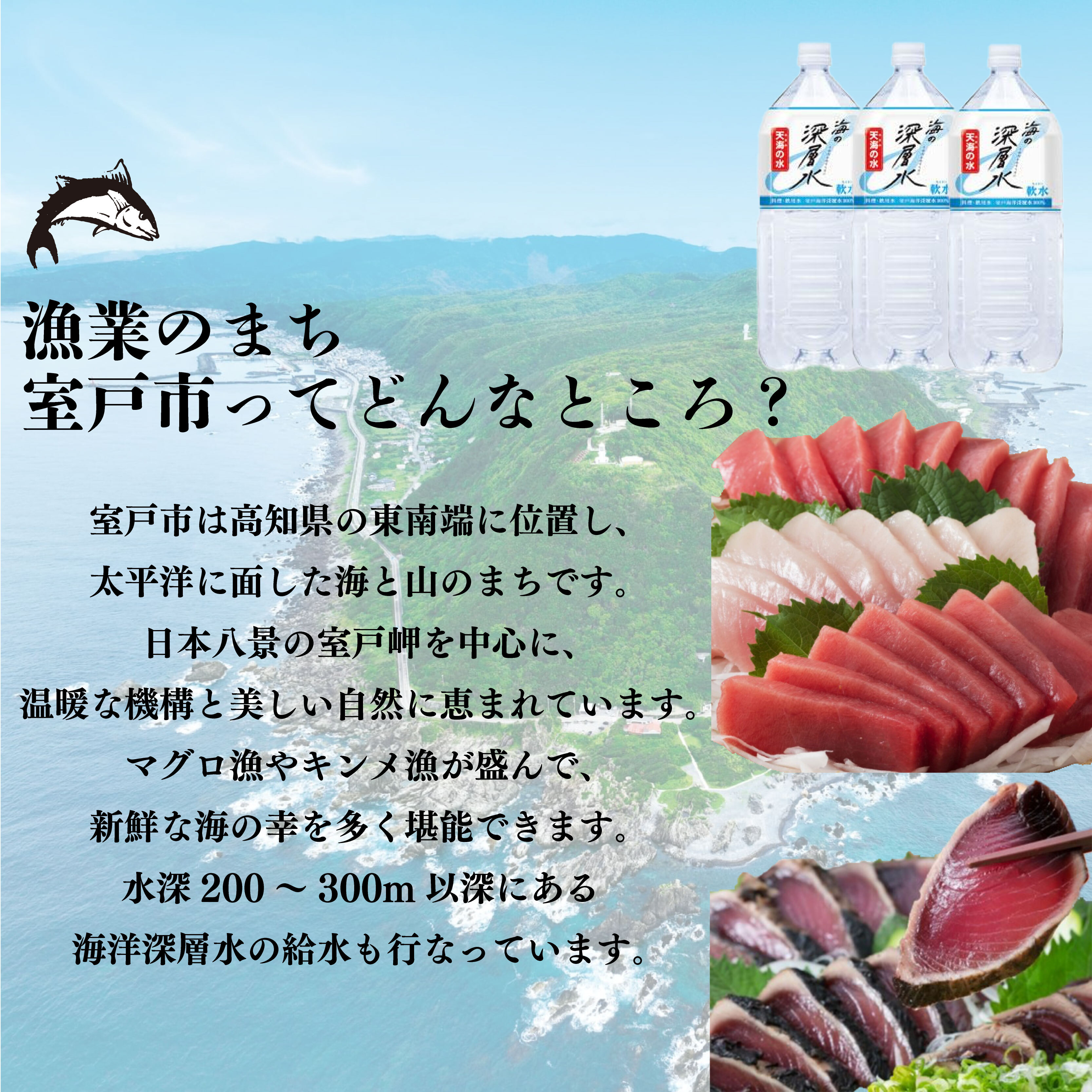 倩ç¶ã«ãžããã°ã 500g ãã°ã æµ åºèº« æµ·é®® é åã身 æµ·ç£ åœç£ åºèº«çš æŒ¬ã䞌 海鮮䞌 ã«ã«ãããã§ ãã©ã€ ãœã㌠ç
§ãçŒã ãåãå¯ã ã°ã«ã¡ ç¶ã®æ¥ ãã£ã㌠ãç å·å é®®é åç°æ°Žç£ é«ç¥ç 宀æžåž
