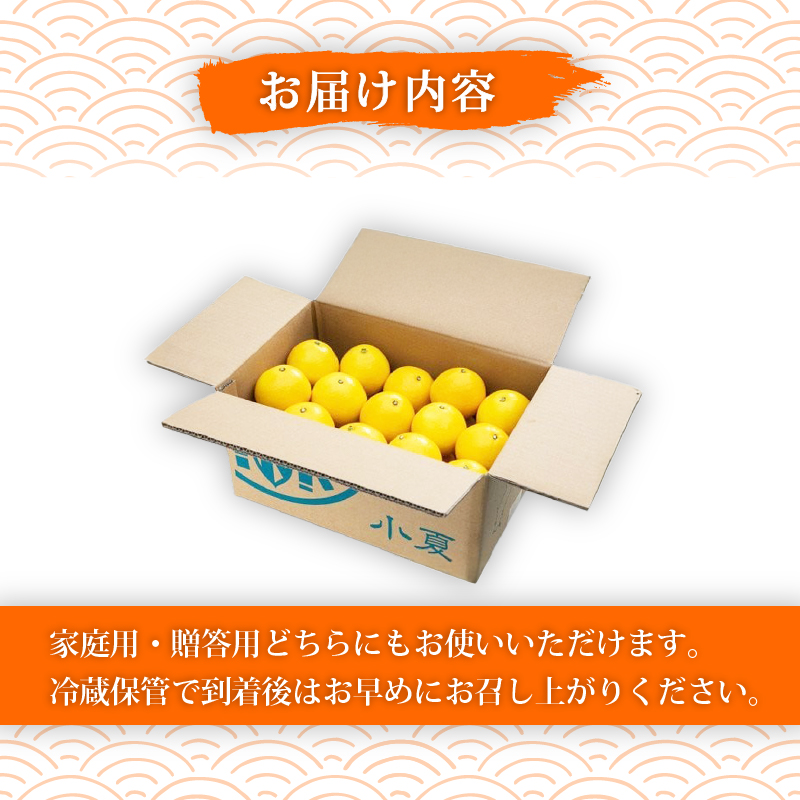 【2026年5月より発送】 熟成 露地小夏 3kg | 柑橘 フルーツ 果物 期間限定 旬の果物 ご家庭用 生産者 農家 直送 高知県 室戸市