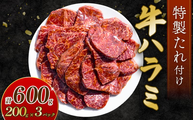 自家製 牛ハラミ たれ漬け 200g×3パック 計600g 訳あり 数量限定 牛肉 焼肉 焼き肉 BBQ バーベキュー ハラミ肉 タレ漬けハラミ 小分け 【(有)山重食肉】（室戸海洋深層水塩使用）
