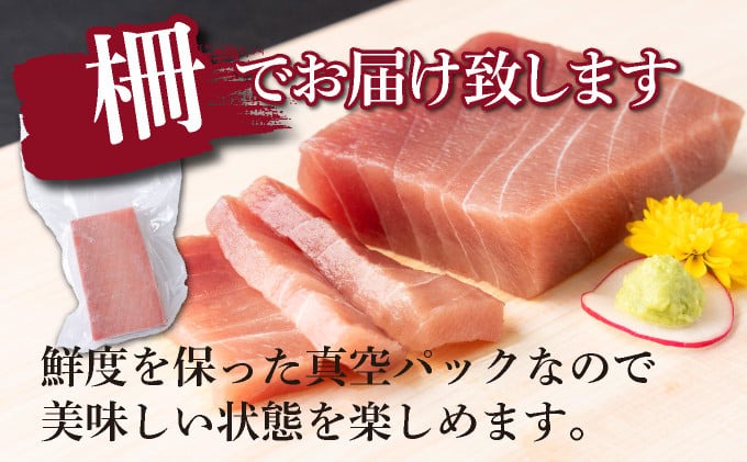 ã 倩ç¶ãŸãã ã äžãã 赀身 æµ èš680gä»¥äž ãµã¯ ãã å€©ç¶ ãã°ã¡ ãã°ã 鮪 ãŸãã 100% å·å åºèº« æµ·é®® 䞌 åºã身 å°åã é«ç¥ 宀æž