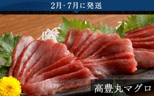 【5回定期便】海からの贈り物！マグロとカツオのお楽しみセット まぐろ カツオのたたき ネギトロ  刺身 海産物 魚介類 鮪 まぐろたたき 鰹 魚 高知県 海鮮 冷凍 コロナ 緊急支援品 訳あり 不揃い 傷 規格外 故郷納税 10万円 送料無料