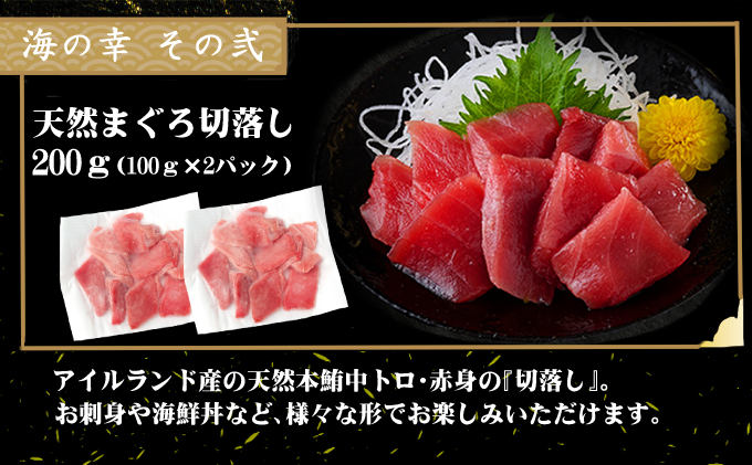 室戸の海の幸バラエティセット 5種詰め合わせ 63,500円コース まぐろ マグロ カツオ かつおたたき 伊勢海老 伊勢えび  ネギトロ 福袋 セット 正月 高知 室戸