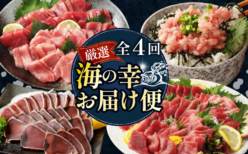 【 全4回定期便 】 厳選 高知の海鮮セット 本まぐろ かつおのたたき ネギトロ 水産会社直送の海鮮詰め合わせ 食べ比べ