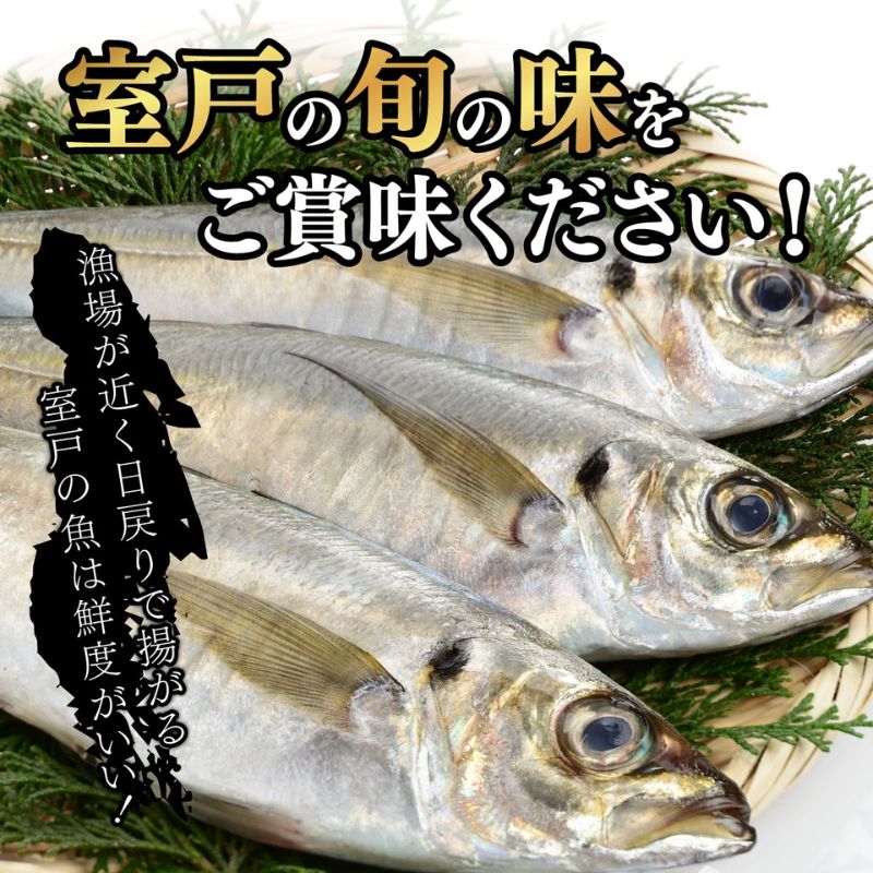 【ふるさと納税】高知県 室戸市 トロ鯵 干物セット 8枚 特大 脂のり抜群 海洋深層水仕込み アジ開き 海鮮 魚介類 国産 新鮮 産地直送 贅沢ギフト 1万円 iz021