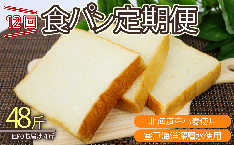 【室戸海洋深層水仕込み】深層水食パン年１２回定期便 食パン 朝食 ギフト 定期便 人気 ぱん おやつ ４斤×１２回