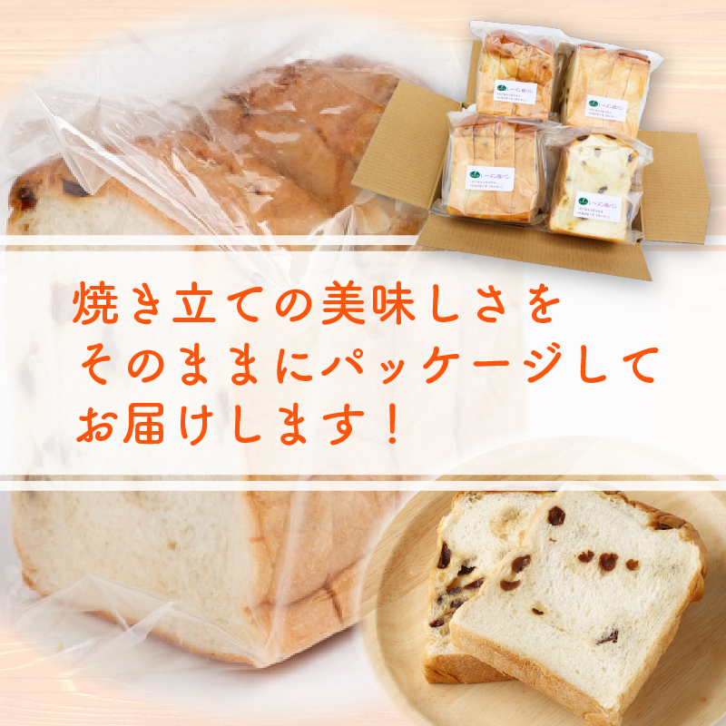 【室戸海洋深層水仕込み】レーズン食パン年１２回定期便  食パン ぱん 朝食 ギフト 定期便 人気 食事パン おやつ レーズン ぶどう ドライフルーツ４斤×１２回