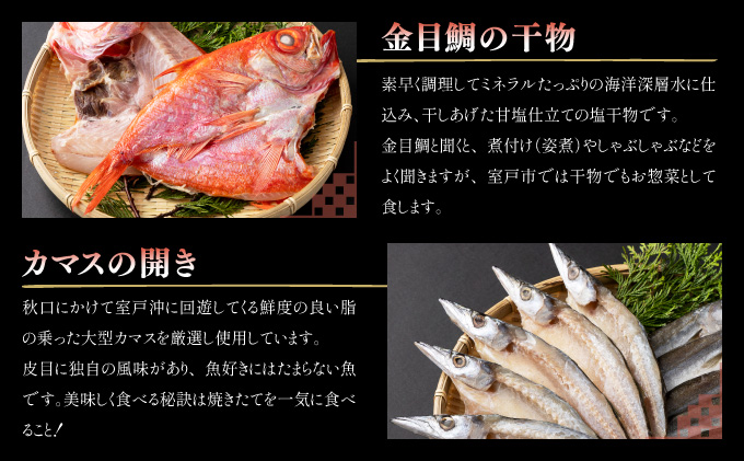 【12回定期便】室戸の海からの贈り物【金目鯛 キンメダイ ブリ かつお 鰹 カツオのたたき みりん干し ミリン干し 寒ブリ サバ 鯖 アジ 鯵 カマス サバ 鯖 伊勢海老 魚 魚介類 おつまみ 干物 海洋深層水 惣菜】