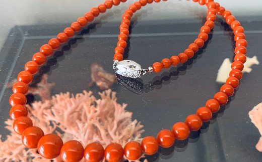 【5本限定】サンゴ特級玉　赤珊瑚ネックレス