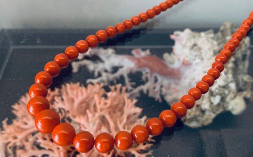 【5本限定】サンゴ特級玉　赤珊瑚ネックレス