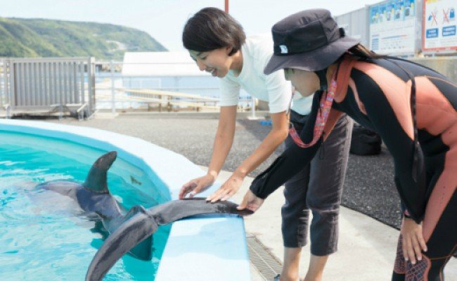 トレーナー体験１名（３歳以上小学生）