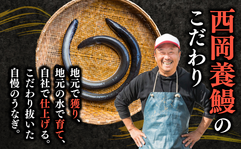 完全無投薬 うなぎ蒲焼 定期便 計10尾 ( 220g × 2尾 × 5回 ) 国産 鰻 厳選 無薬 うなぎ 蒲焼き かば焼き 人気 特製タレ 鰻蒲焼き 湯煎 簡単調理 タレ 山椒 セット 旨味 風味 うな重 土用の丑の日 夏バテ対策 ギフト 贈り物 贈答 お取り寄せ グルメ 高級 うなぎ料理 こだわり うな丼 ひつまぶし 冷凍 高知県産 ランキング おすすめ 西岡養鰻 安芸市 高知県