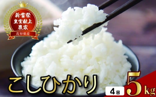 令和8年産 コシヒカリ 白米 4ヵ月連続 定期便 5kg × 4回 20kg