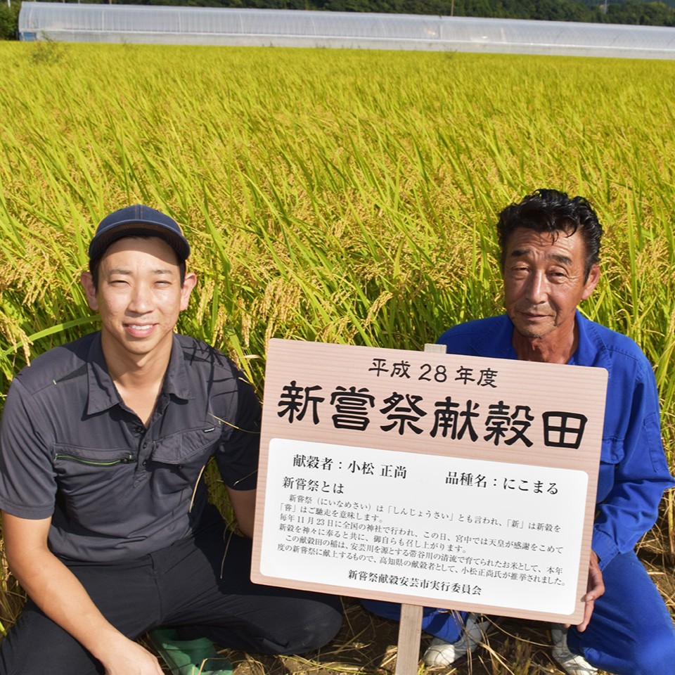 【先行受付】 令和8年産 玄米 こしひかり 10kg こしひかり 安芸産 栄養価 お米 精米 新米 ごはん ご飯 高知県産 弁当 おにぎり 料理 新嘗祭皇室献上米 令和8年 健康志向 もちもち食感 美味しい 農家直送 先行予約 おにぎり 高級米 ブランド米 冷めても美味しい 炊き立て 食べ比べ 人気 おすすめ 贈答用 ギフト お米の定期便人気 安芸市 高知県