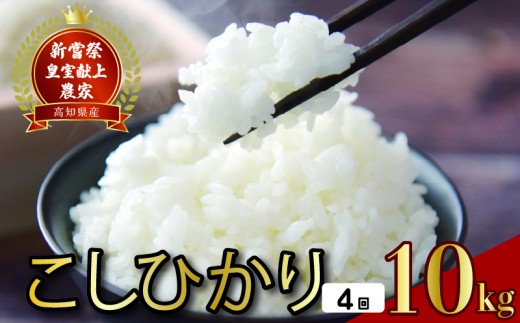 令和8年産 コシヒカリ 白米 4ヵ月連続 定期便 10kg × 4回 40kg