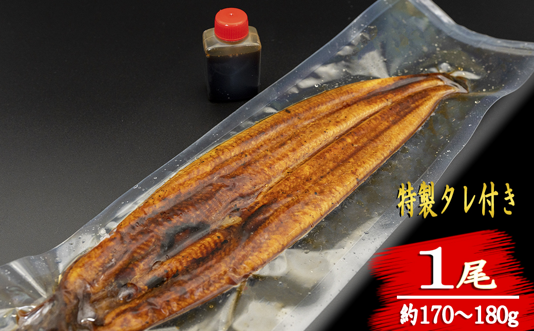 【高知満喫定期便】厳選!!藁焼きかつおのタタキ1節と高知県産うなぎの蒲焼き1尾セット×12回定期便