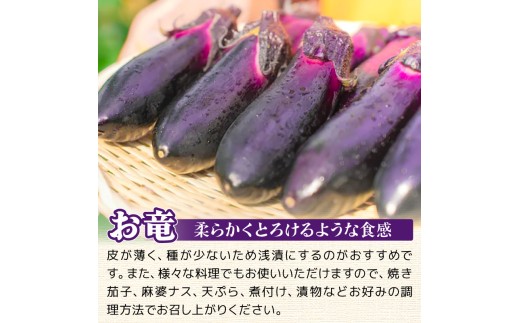 【先行受付】 6回定期便 「優秀賞受賞なす」 計9kg 約1.5kg×6回 採れたて 新鮮 旬 野菜 やさい 茄子 先行予約 期間限定 季節 料理 ご飯 ごはん 朝採れ 極上 フレッシュ 農産物 優秀賞 陽ざし 大地 収穫 即梱包 衛生的 ツヤ ハリ 取れたて感 天敵農法 自家製肥料 環境制御 お竜 焼きなす 揚げ浸し 煮びたし カレー パスタ たたき ぽん酢 こたにん農園 安芸市 高知県