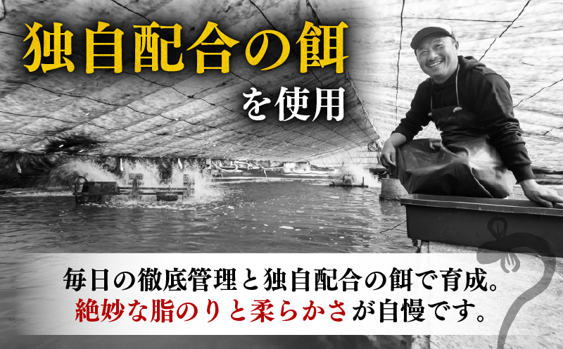 å®å
šç¡æè¬ ããªãè²çŒ å®æäŸ¿ èš16å°Ÿ ( 220g à 4å°Ÿ à 4å ) åœç£ é°» å³éž ç¡è¬ ããªã è²çŒã ãã°çŒã äººæ° ç¹è£œã¿ã¬ é°»è²çŒã 湯ç
ç°¡å調ç ã¿ã¬ å±±æ€ ã»ãã æšå³ é¢šå³ ããªé åçšã®äžã®æ¥ å€ãã察ç ã®ãã èŽãç© èŽç ãåãå¯ã ã°ã«ã¡ é«çŽ ããªãæç ãã ãã ããªäžŒ ã²ã€ãŸã¶ã å·å é«ç¥çç£ ã©ã³ãã³ã° ãããã 西岡é€é°» å®èžåž é«ç¥ç