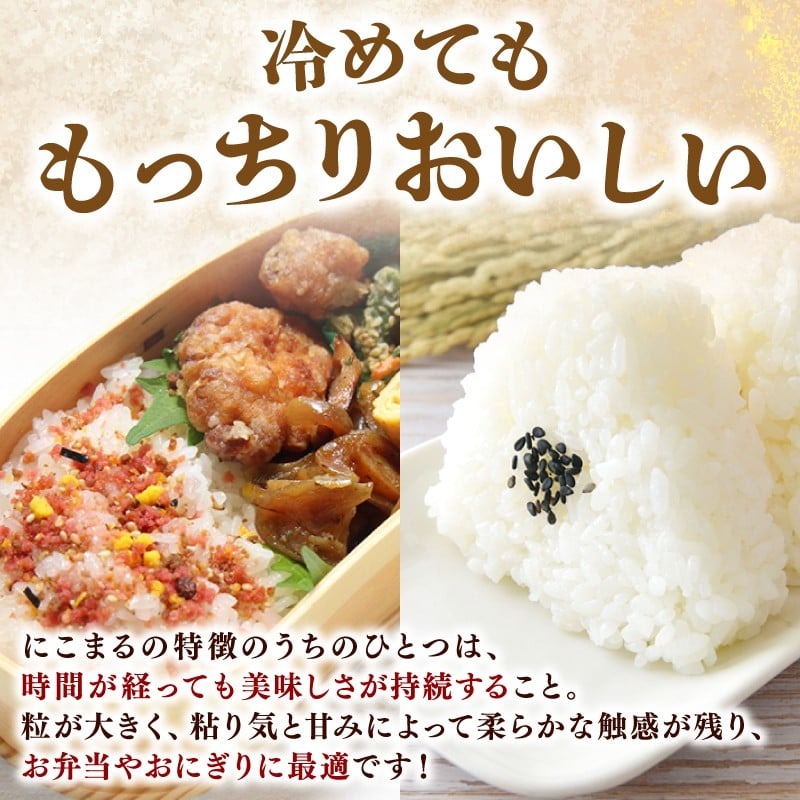 ã什å8幎ç£ã ç±³ ã«ããŸã èš 60kg å®æäŸ¿ 10kg 6ã¶æ ãç±³ çœç±³ 粟米 ãã¯ã ã飯 é«ç¥çç£ åŒåœ ãã«ãã æç é«ç¥çå®èžåž çŸå³ãã 蟲家çŽé ååœ ãã©ã³ãç±³ é£å³ ç²ã çãç«ãŠ æé£ å€é£ å®¶æ é£å èŽãç© ã®ãã å¥åº· æ é€ åé£ åœç£ ç£å°æå® è¶
æ©å Žç±³ æž©æ æ°å åç©« å
è¡åä» å®èžåž é«ç¥ç