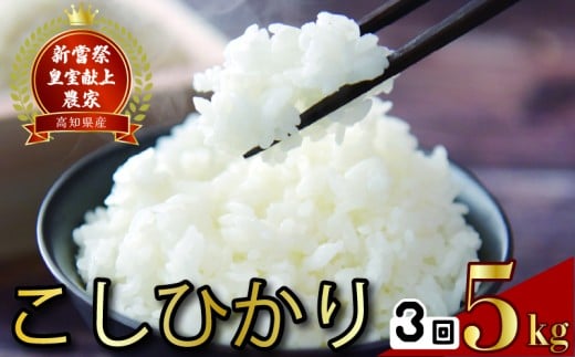 令和8年産 コシヒカリ 白米 3ヵ月連続 定期便 5kg × 3回 15kg