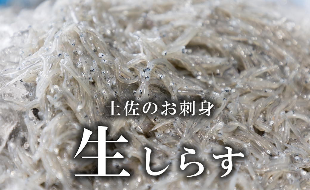 土佐のお刺身「生しらす」6個セット <タレなし>
