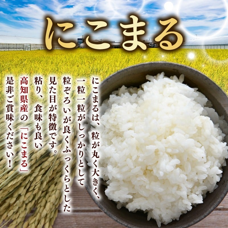 ã什å8幎ç£ã ç±³ ã«ããŸã èš 60kg å®æäŸ¿ 10kg 6ã¶æ ãç±³ çœç±³ 粟米 ãã¯ã ã飯 é«ç¥çç£ åŒåœ ãã«ãã æç é«ç¥çå®èžåž çŸå³ãã 蟲家çŽé ååœ ãã©ã³ãç±³ é£å³ ç²ã çãç«ãŠ æé£ å€é£ å®¶æ é£å èŽãç© ã®ãã å¥åº· æ é€ åé£ åœç£ ç£å°æå® è¶
æ©å Žç±³ æž©æ æ°å åç©« å
è¡åä» å®èžåž é«ç¥ç