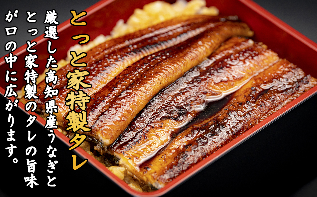 【高知満喫定期便】厳選!!藁焼きかつおのタタキ1節と高知県産うなぎの蒲焼き1尾セット×6回定期便